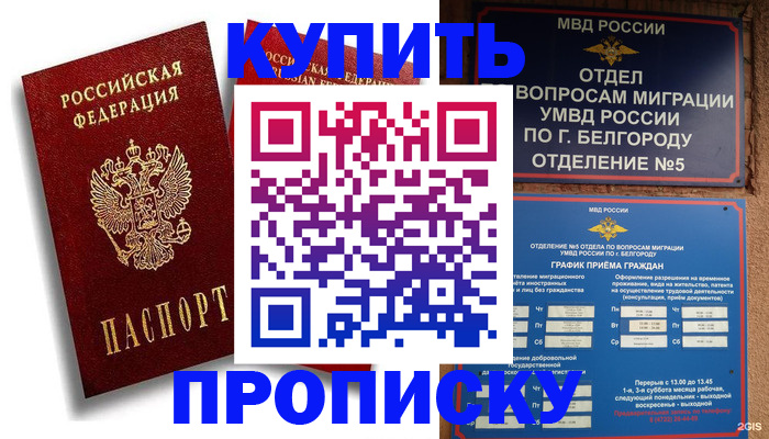 прописка иностранных граждан в Козьмодемьянске
